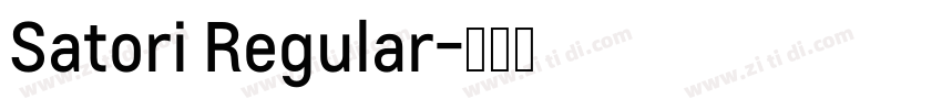 Satori Regular字体转换